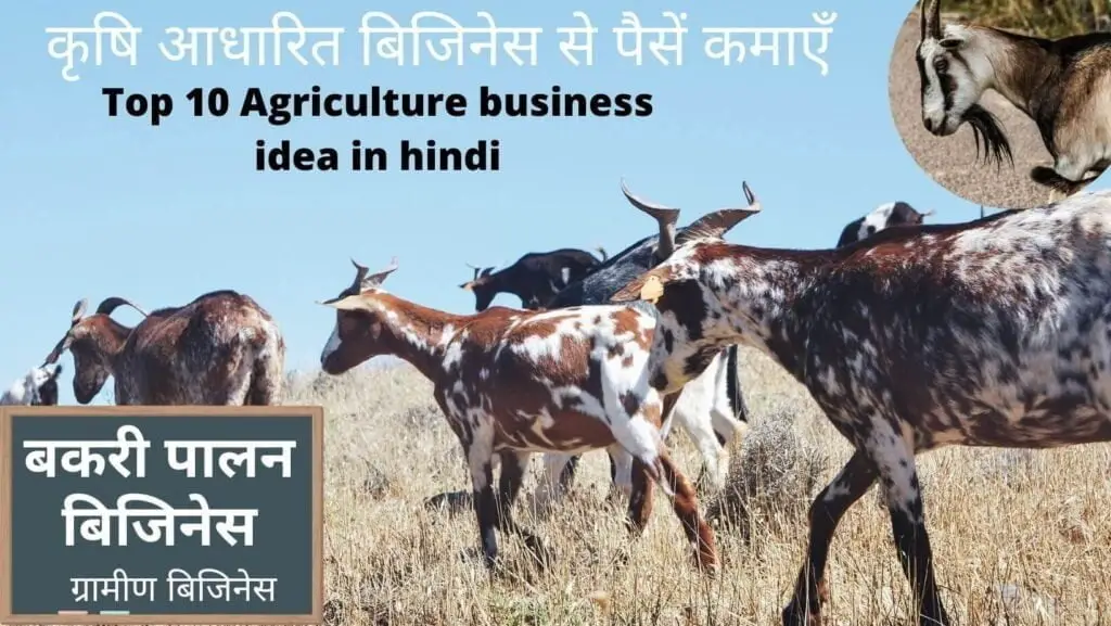 10 कृषि बिजनेस आईडिया |10 best agriculture business ideas | 5 10 Best Agriculture business idea