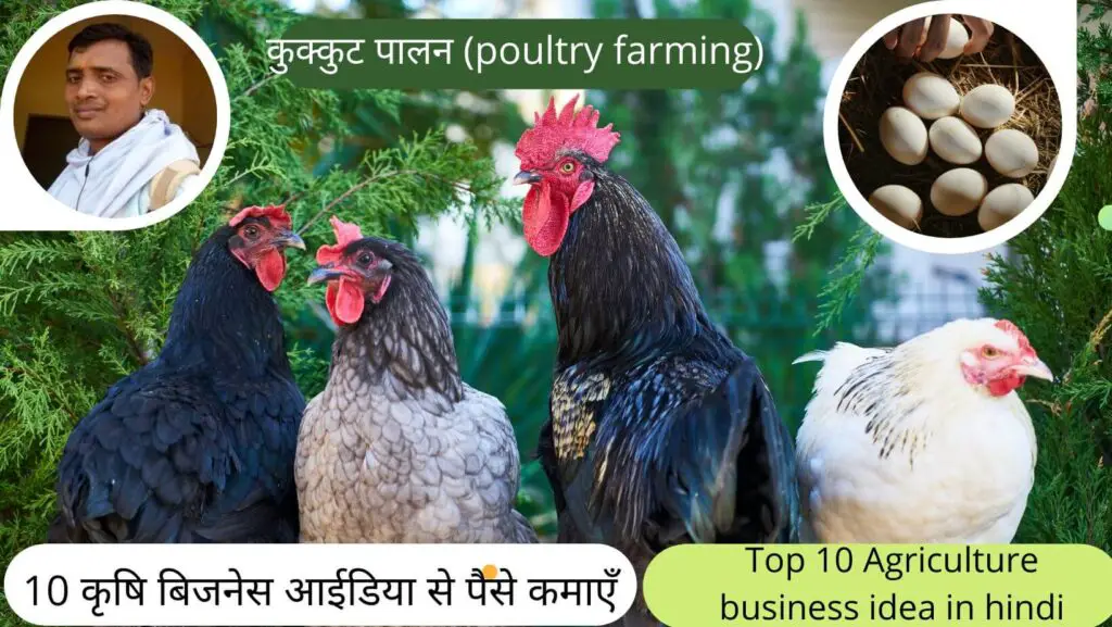 10 कृषि बिजनेस आईडिया |10 best agriculture business ideas | 4 10 best Agriculture business idea