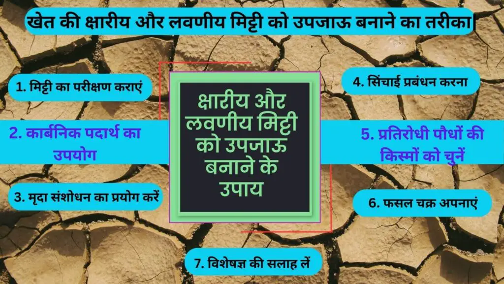 खेत की क्षारीय और लवणीय मिट्टी को उपजाऊ बनाने का तरीका| Soil Improvement in hindi 1 Soil Improvement and Management in hindi