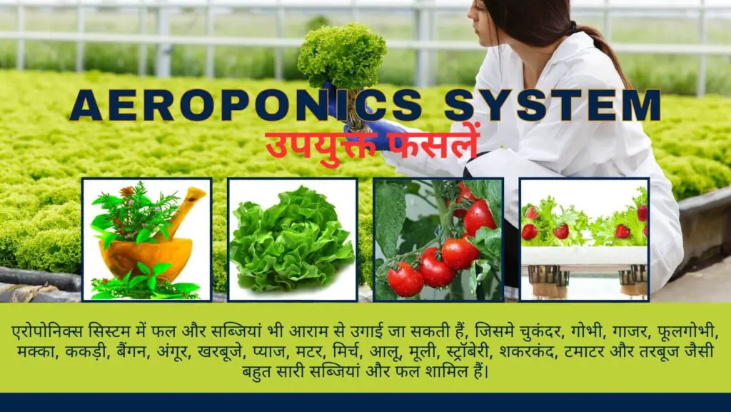 एरोपोनिक्स सिस्टम: एक क्रांतिकारी हाइड्रोपोनिक सिस्टम |aeroponics system| 4 Aeroponics System