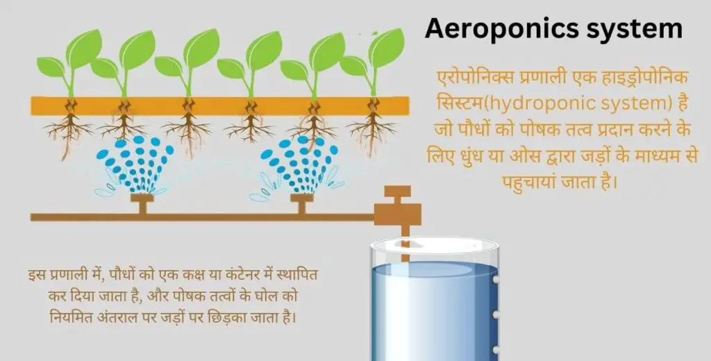Hydroponic Farming:बिना मिट्टी के खेती | सुबह लगाए सब्जी और शाम कमाए मनी | 6 Aeroponics system -type of hydroponic system