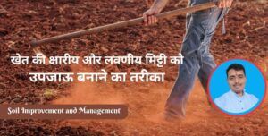 Read more about the article खेत की क्षारीय और लवणीय मिट्टी को उपजाऊ बनाने का तरीका| Soil Improvement in hindi