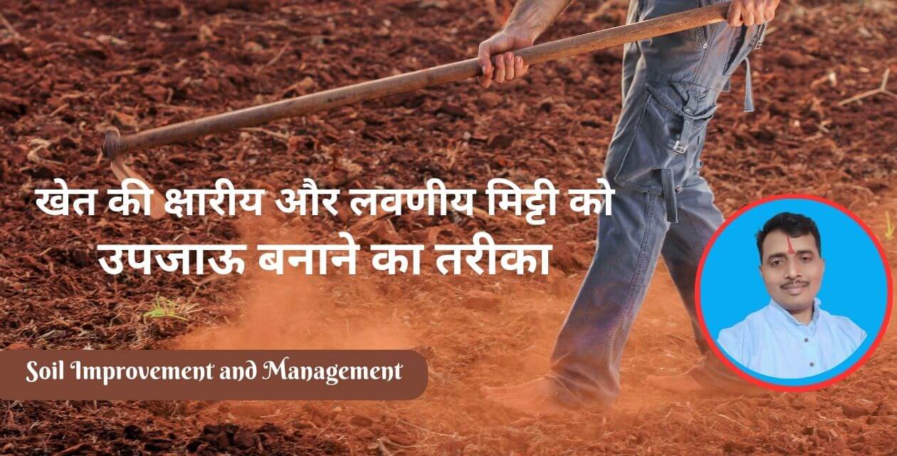 Read more about the article खेत की क्षारीय और लवणीय मिट्टी को उपजाऊ बनाने का तरीका| Soil Improvement in hindi