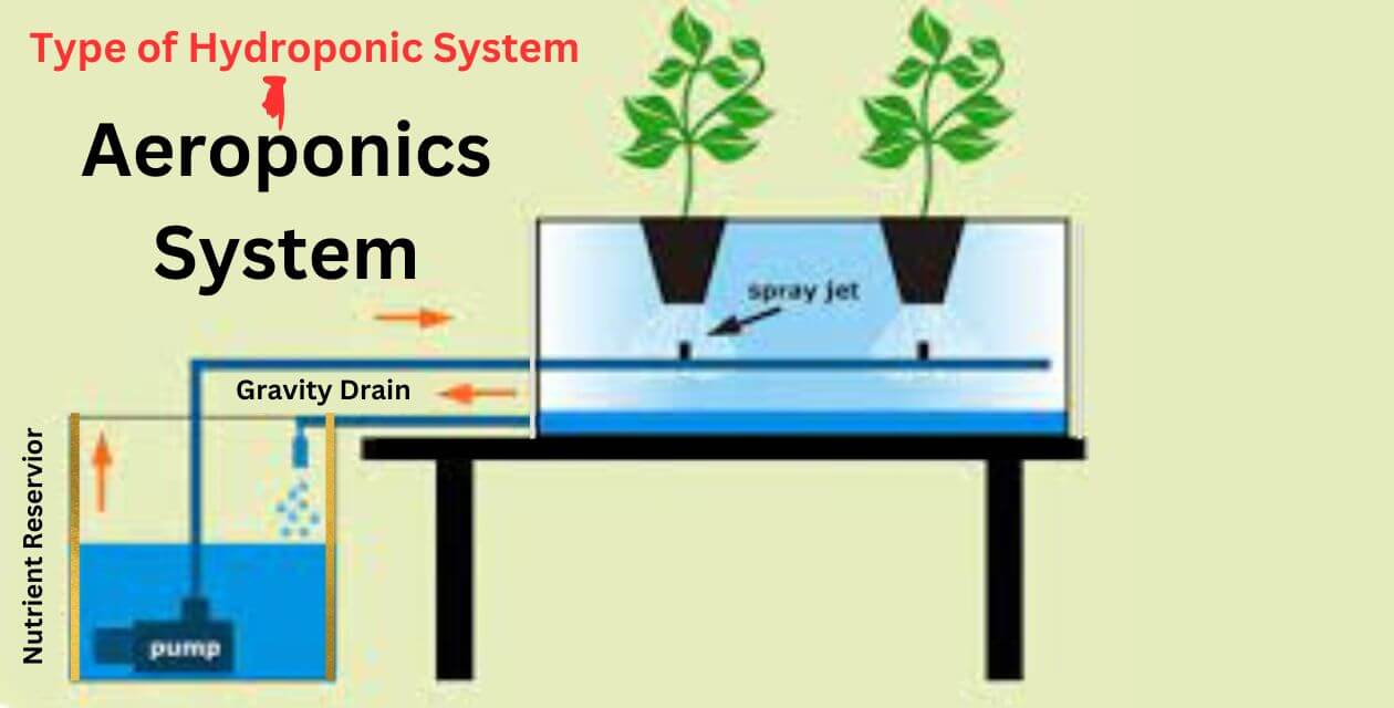 Read more about the article एरोपोनिक्स सिस्टम: एक क्रांतिकारी हाइड्रोपोनिक सिस्टम |aeroponics system|