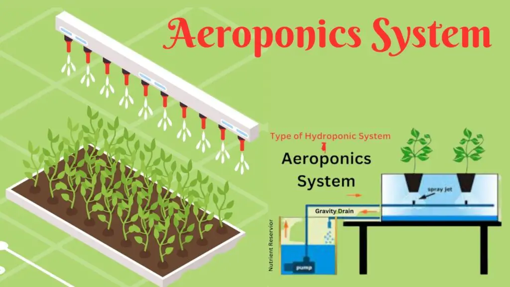 एरोपोनिक्स सिस्टम: एक क्रांतिकारी हाइड्रोपोनिक सिस्टम |aeroponics system| 1 aeroponics system