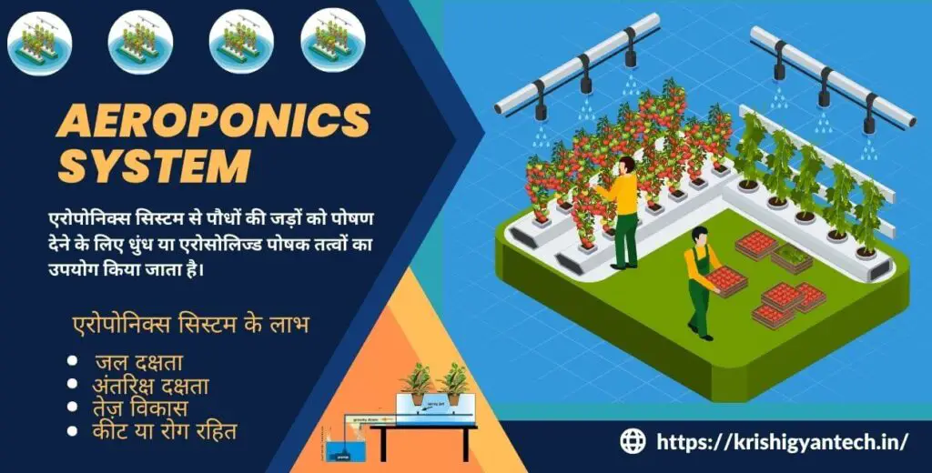 एरोपोनिक्स सिस्टम: एक क्रांतिकारी हाइड्रोपोनिक सिस्टम |aeroponics system| 2 aeroponics system