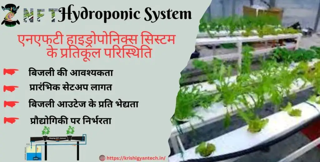 hydroponic NFT system : sabji utpadan ke naye tarika 3 hydroponic NFT system