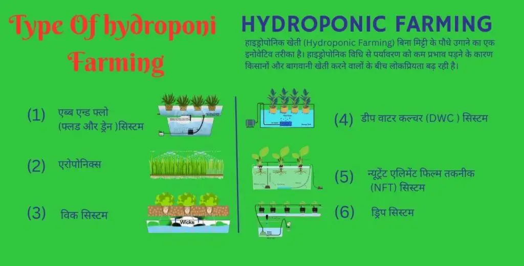 Hydroponic Farming:बिना मिट्टी के खेती | सुबह लगाए सब्जी और शाम कमाए मनी | 1 hydroponic farming