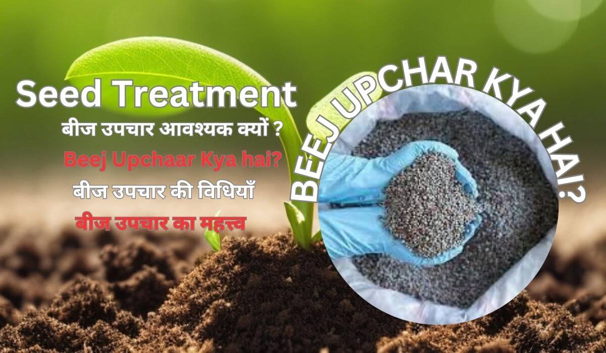 Read more about the article Beej Upchaar Kya hai? जाने बीज उपचार का महत्त्व |The Importance of Seed treatment.