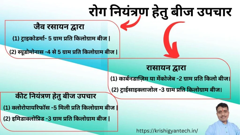 Beej Upchaar Kya hai? जाने बीज उपचार का महत्त्व |The Importance of Seed treatment. 5 beej upjaar-seed treatment