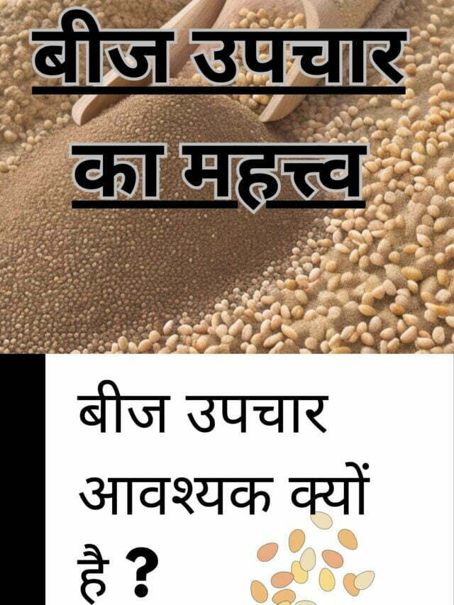 seed treatment. बीज उपचार आवश्यक क्यों है ?