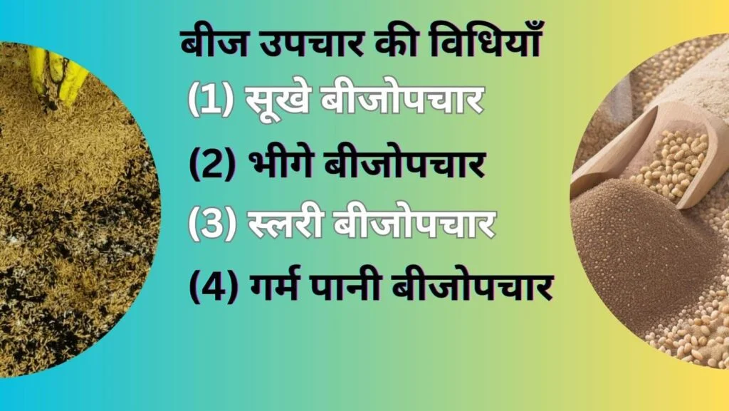 Beej Upchaar Kya hai? जाने बीज उपचार का महत्त्व |The Importance of Seed treatment. 4 seed treatment-beej upchar