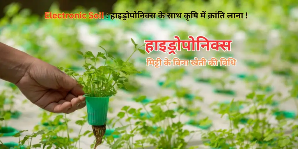 Electronic Soil:हाइड्रोपोनिक्स के साथ कृषि में क्रांति लाना ! 1 Electronic Soil