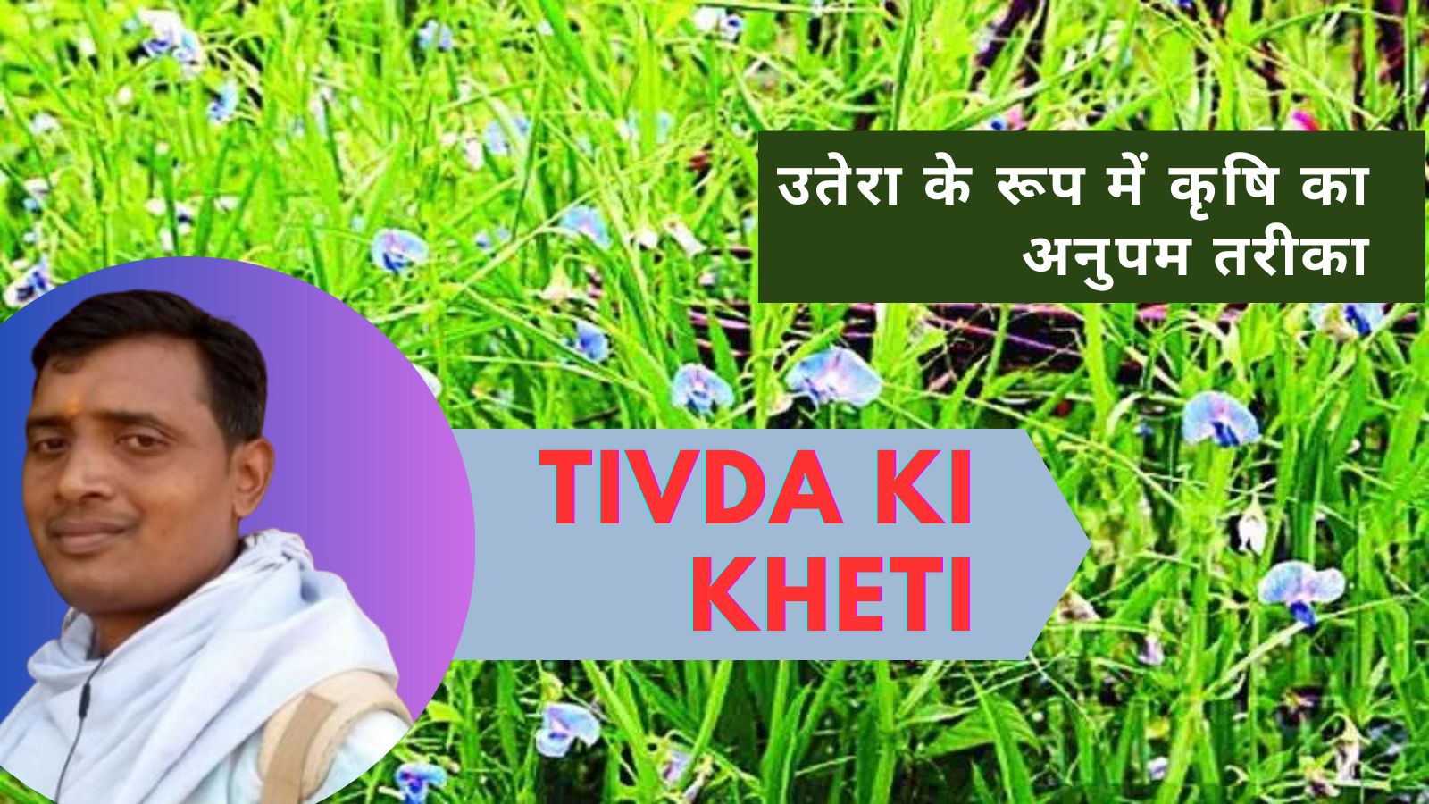 Read more about the article Tivda ki Kheti: कृषि का अनुपम तरीका।
