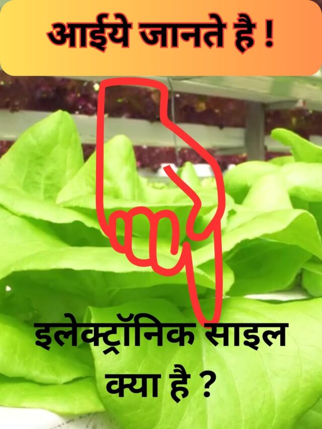 Read more about the article What is electronic soil?