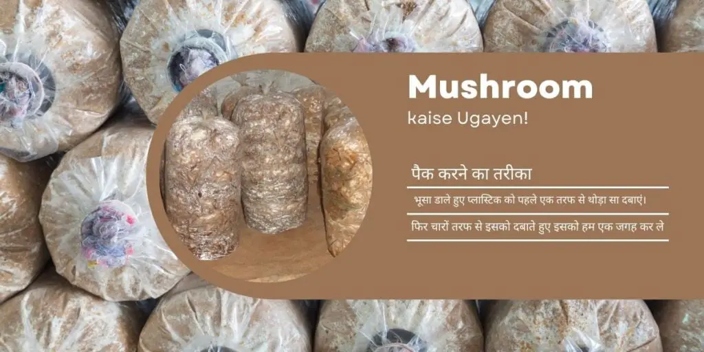 Mushroom kaise Ugayen! 3 Mushroom kaise ugayen