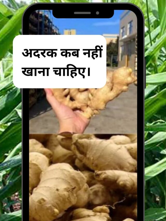 Read more about the article When should ginger not be eaten?