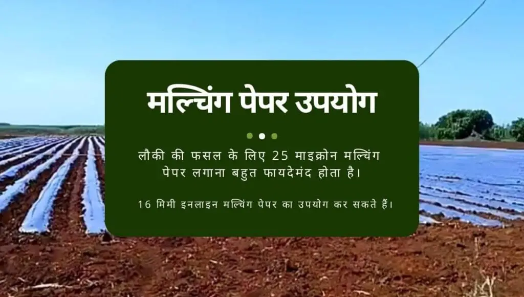 Bottle Gourd Farming in Hindi | गर्मियों में लौकी की खेती | Lauki ki Top 5 Variety| 3 Bottle Gourd Farming