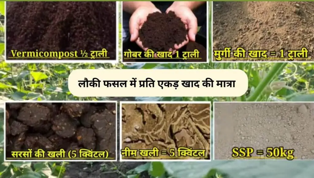 Bottle Gourd Farming in Hindi | गर्मियों में लौकी की खेती | Lauki ki Top 5 Variety| 2 Bottle Gourd Farming