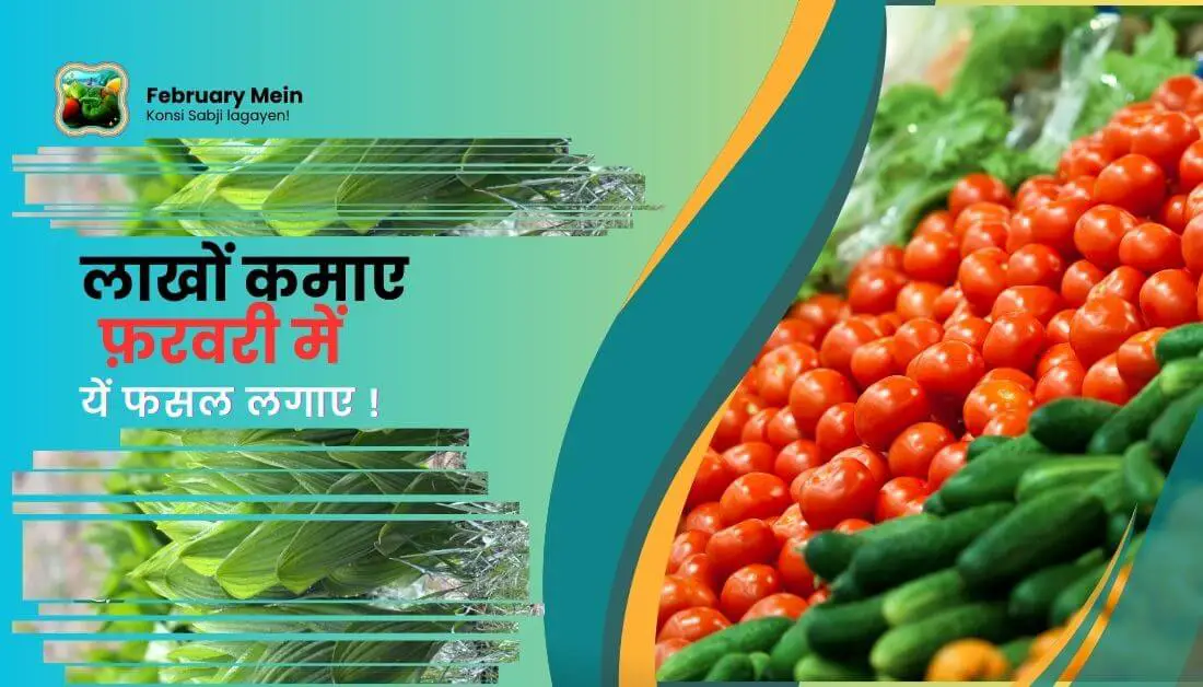 Read more about the article February Mein Konsi 5-6 Sabji lagayen!