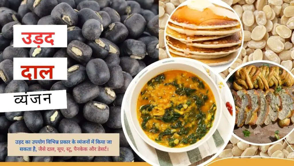 Garmi me urad ki kheti | गर्मियों में उड़द की खेती करें बंफर उत्पादन पाएं | 2 Garmi me urad ki kheti