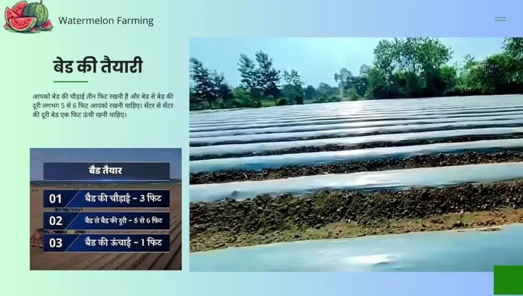 तरबूज की खेती | Watermelon Farming in hindi | 2 Watermelon Farming