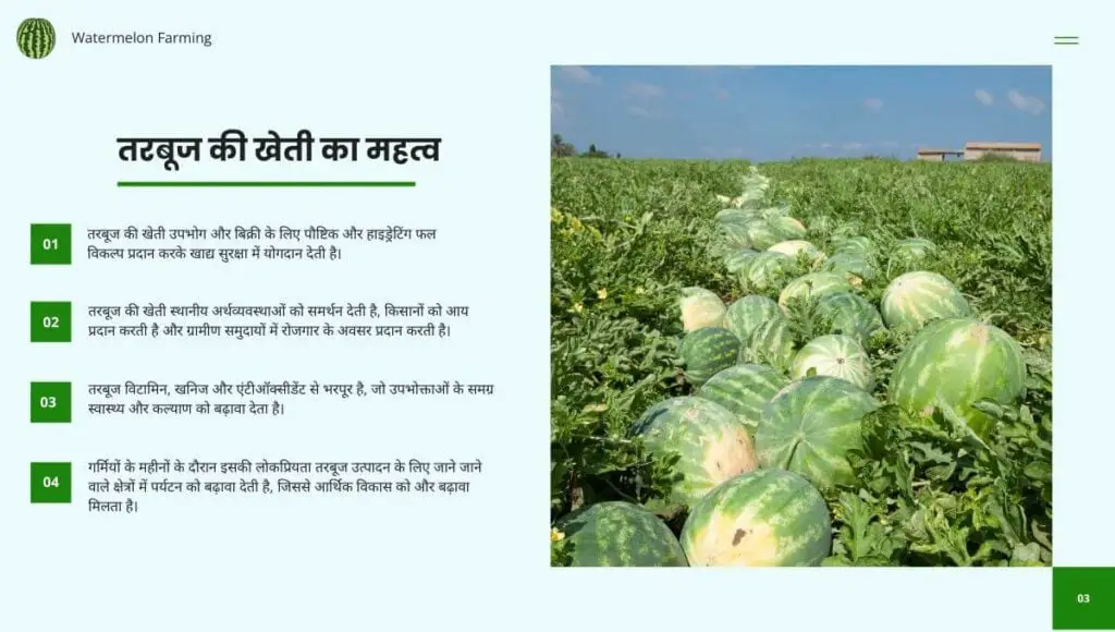 तरबूज की खेती | Watermelon Farming in hindi | 1 watermelon farming