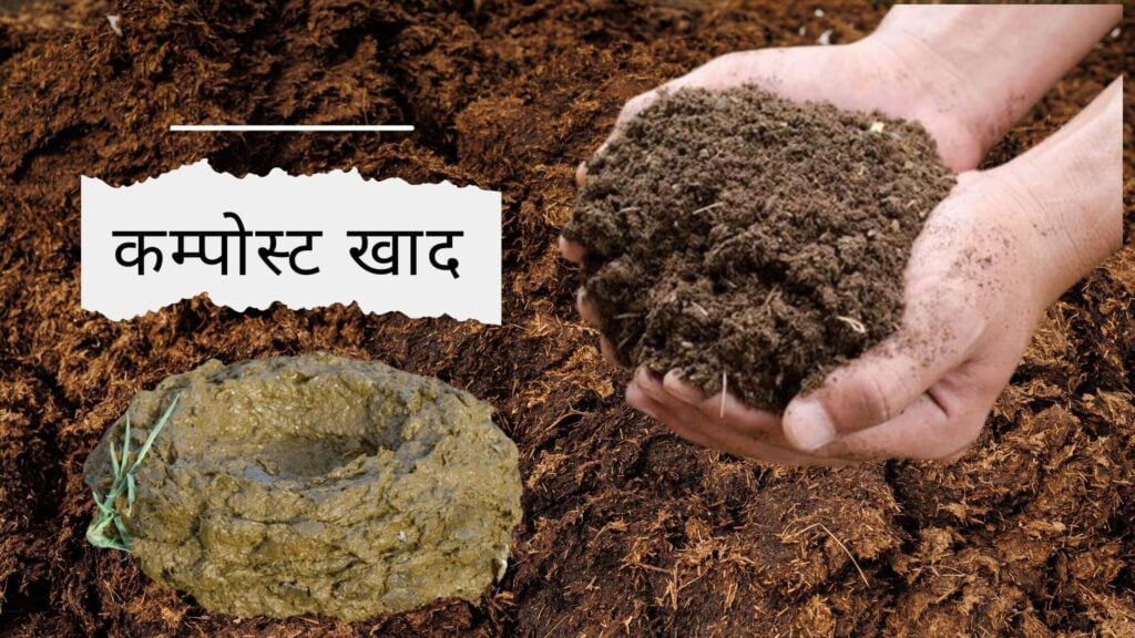 Benefits of Fresh Cow Dung 2024 in Hindi. | ताजा गोबर का कमाल! एक भी ...