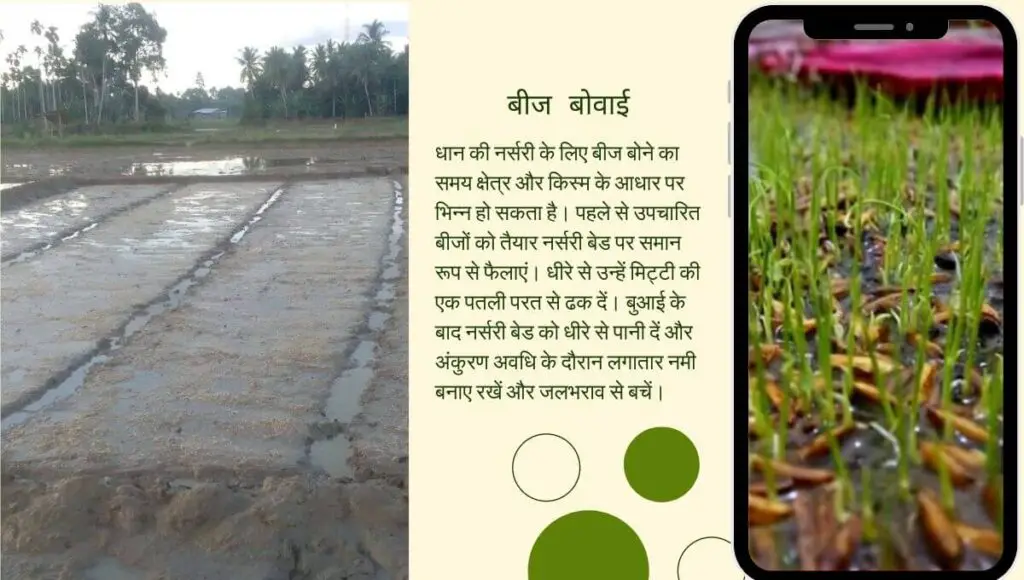 Dhan ki Nursery Kaise Taiyar Kare 
