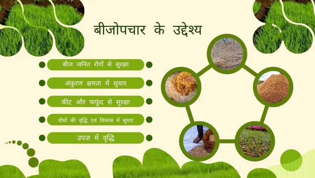 धान बीज उपचार कैसे करें ? How to Seed Treatment? 1 How to Seed Treatment