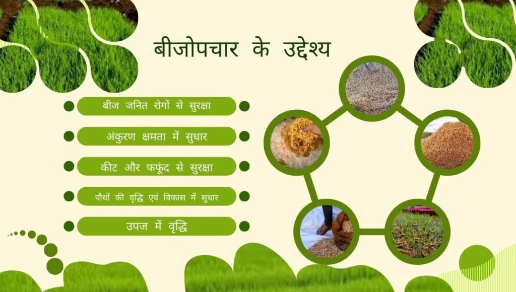 धान बीज उपचार कैसे करें ? How to Seed Treatment? 1 How to Seed Treatment