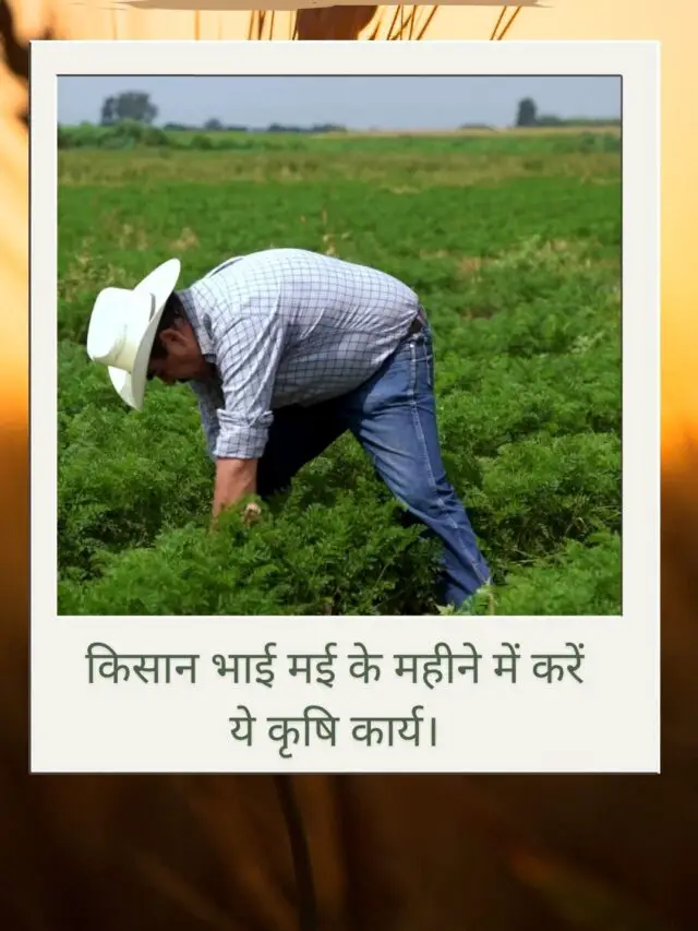 Agricultural Work in The Month of May