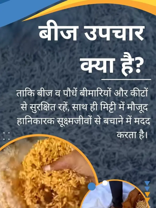 What is Seed Treatment