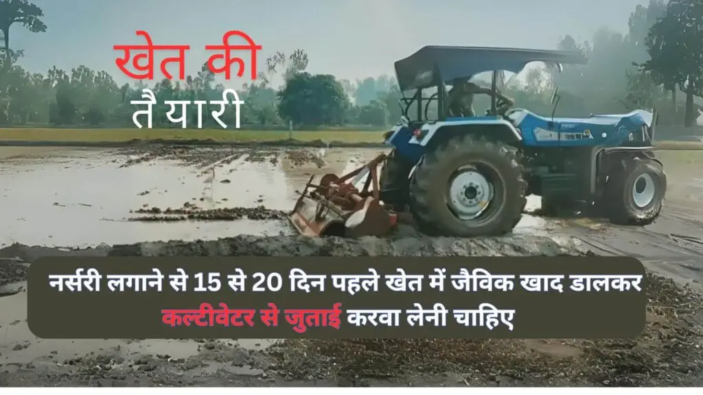 How to Prepare Paddy Nursery in 20 Days? धान की नर्सरी कैसे तैयार करें? 3 How to prepare Paddy Nursery
