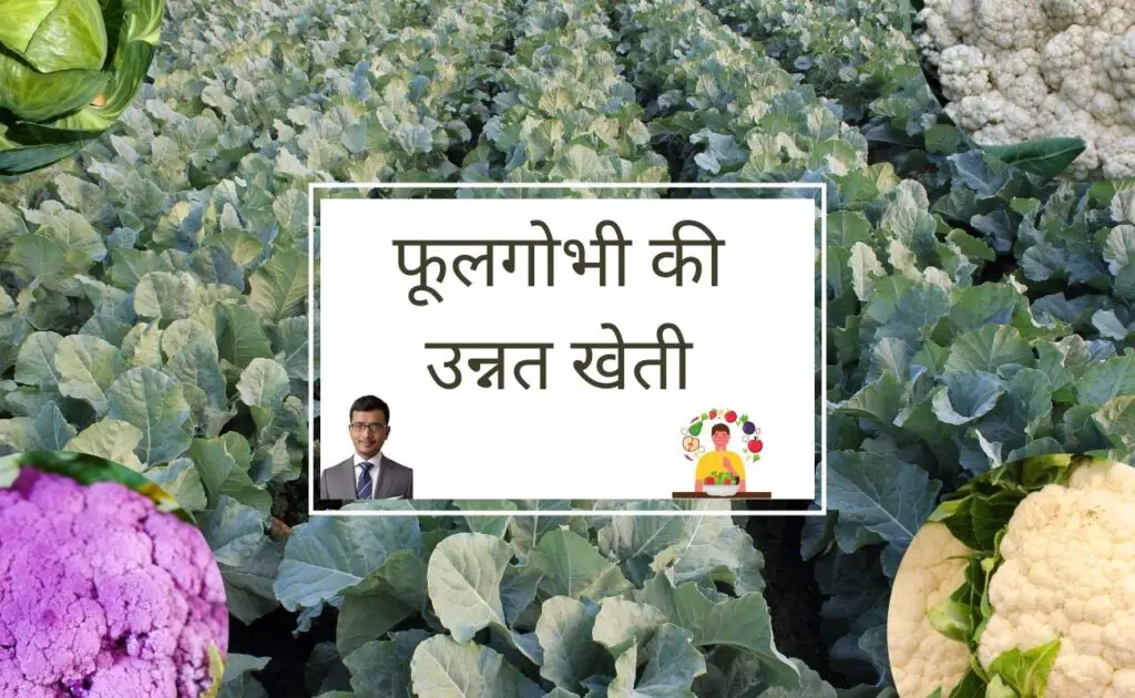  sabji ki kheti