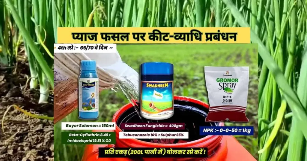 Onion Crop pest management tips in hindi? कैसे करें प्याज की फसल पर कीट -व्याधि नियंत्रण। pest control guide 2024 | 5 Onion Crop pest management tips