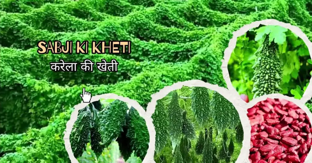 Sabji ki kheti 2025 | February me Konsi Sabji Lagaye | फरवरी में कौनसी सब्जी लगाएँ | 🌱 1 Sabji ki kheti 2025