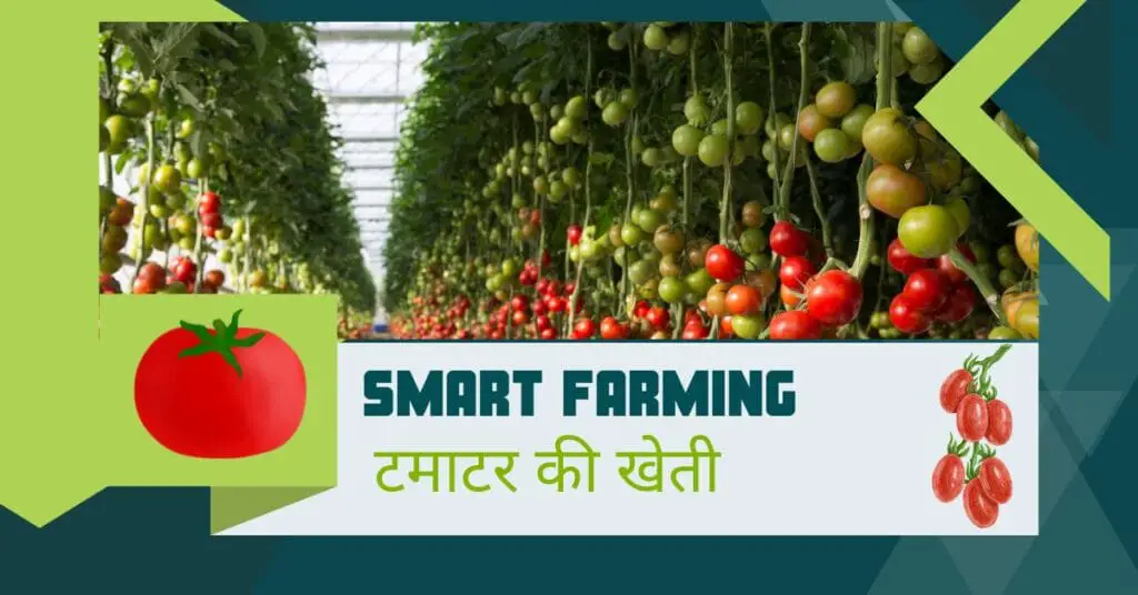 Sabji ki kheti 2025 | February me Konsi Sabji Lagaye | फरवरी में कौनसी सब्जी लगाएँ | 🌱 3 Sabji ki kheti 2025