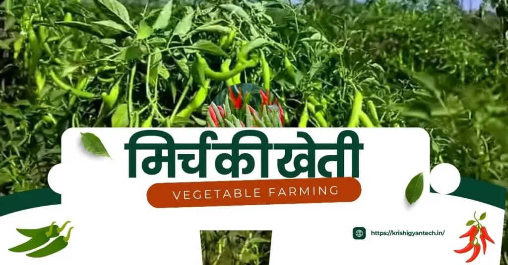 Sabji ki kheti 2025 | February me Konsi Sabji Lagaye | फरवरी में कौनसी सब्जी लगाएँ | 🌱 4 Sabji ki kheti 2025