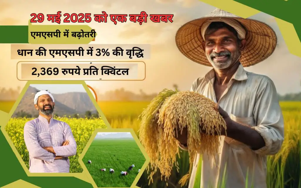 3% increase in MSP of paddy