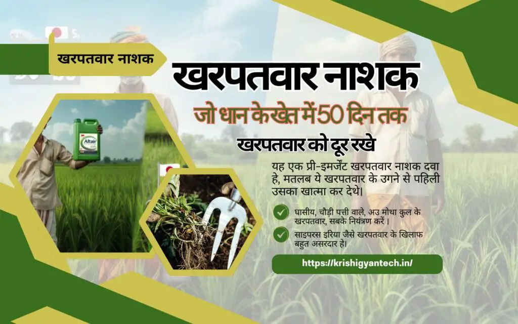 Altair weedicide : धान के खेत में 50 दिन तक खरपतवार को दूर रखे| 1 Altair weedicide for paddy crops