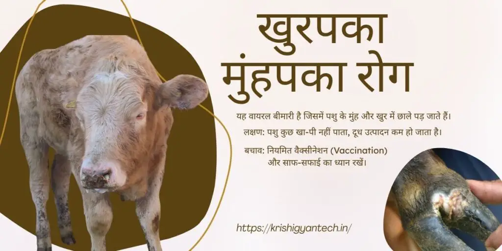 Animal care in rainy season| barish ke mausam me pashuon ki dekhbhal| बारिश के मौसम में पशुओं की देखभाल कैसे करें टिप्स। 1 Animal care in the rainy season 10 important tips