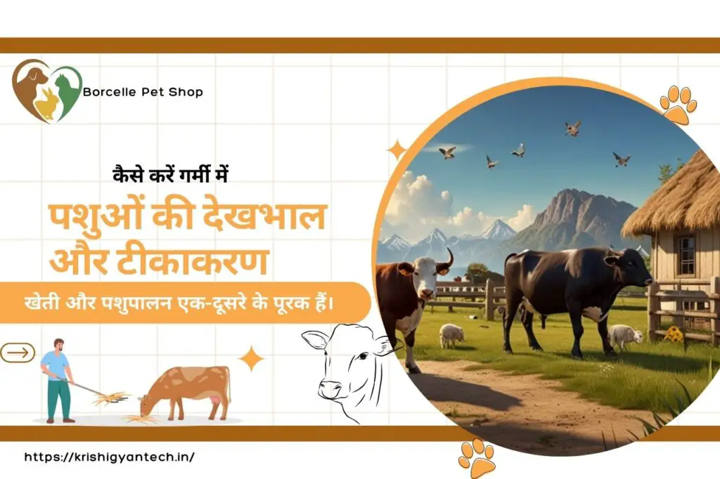 कैसे करें गर्मी में पशुओं की देखभाल और टीकाकरण | Animal care and vaccination in summer| 1 “How to take animal care and vaccination in summer”