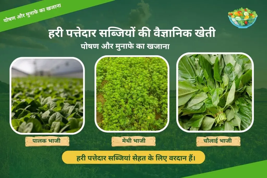 🌿Green leafy vegetable farming | हरी पत्तेदार सब्जियाँ पोषण और मुनाफे का खजाना 🥬| 1 Scientific cultivation of green leafy vegetables A treasure trove of nutrition and profits