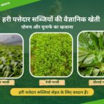 🌿Green leafy vegetable farming | हरी पत्तेदार सब्जियाँ पोषण और मुनाफे का खजाना 🥬|
