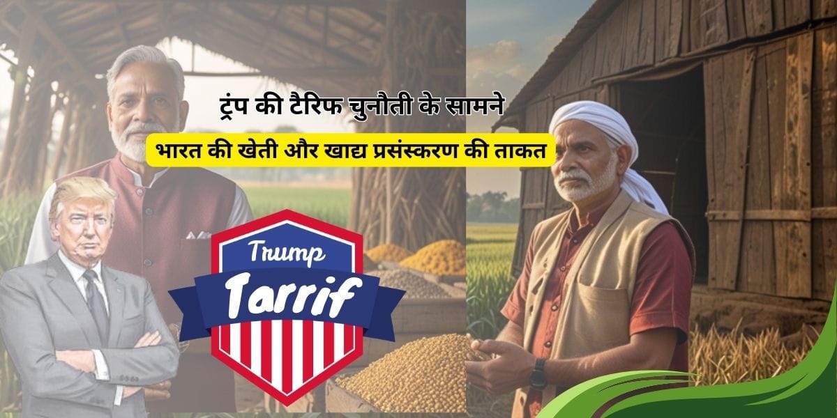 Read more about the article Trump Tariff aur bharat ki agriculture and food processing| ट्रंप की टैरिफ चुनौती के सामने भारत की खेती और खाद्य प्रसंस्करण की ताकत |