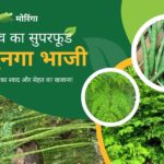 Village Superfood Munga Bhaji: गर्मियों का स्वाद और सेहत का खजाना!
