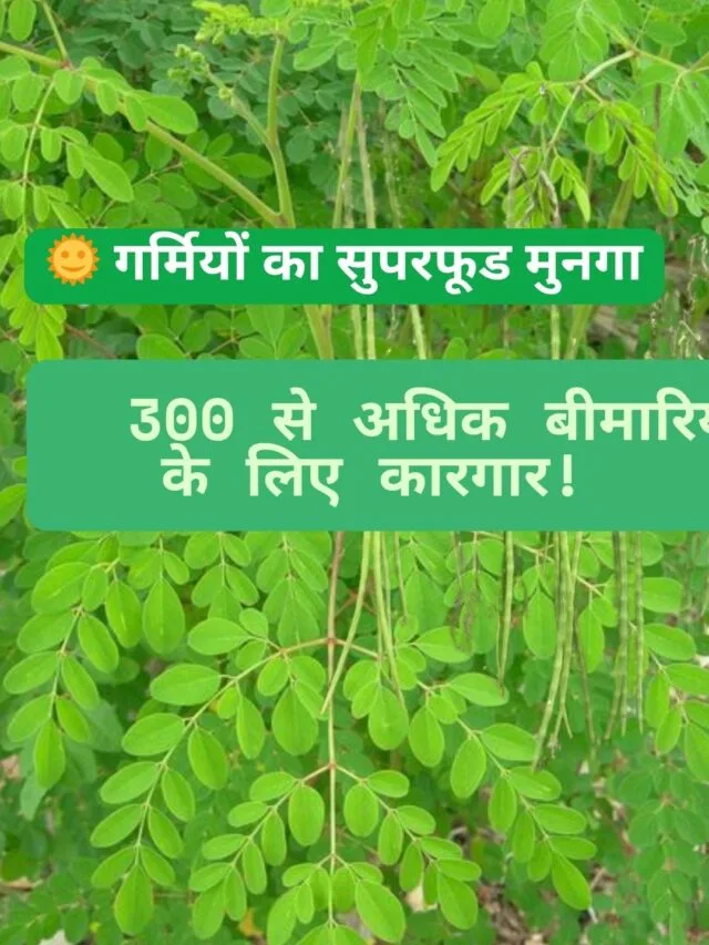 Health Benefits of munga