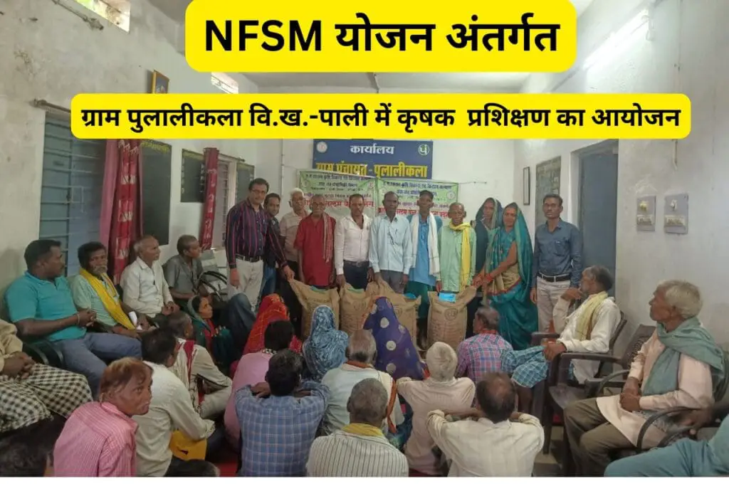 NFSM अंतर्गत दिनाँक 18 जून 2025 को ग्राम पुलालीकला वि.ख.-पाली में कृषक प्रशिक्षण का आयोजन | 1 NFSM scheme training organized in Pulalikala Block-Pali