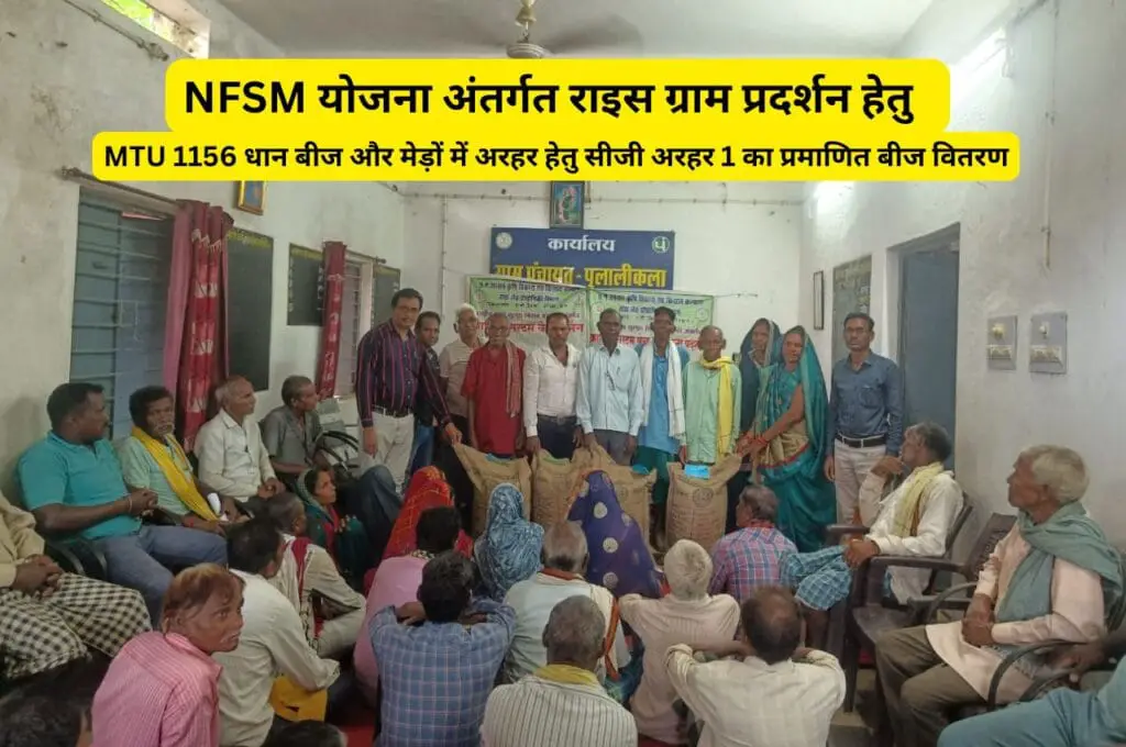 NFSM अंतर्गत दिनाँक 18 जून 2025 को ग्राम पुलालीकला वि.ख.-पाली में कृषक प्रशिक्षण का आयोजन | 2 NFSM scheme training organized in Pulalikala Block-Pali